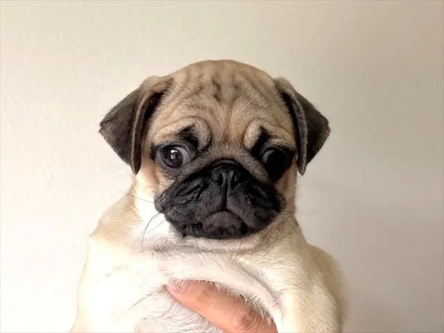 ※オーナー様決まりました